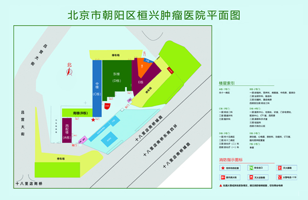 骚逼好痒大鸡巴插逼视频北京市朝阳区桓兴肿瘤医院平面图